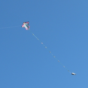 AAA commerciale cercasi!