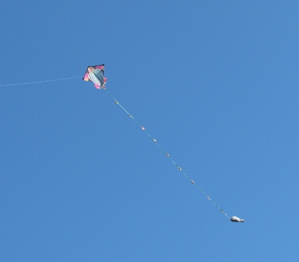 offerta lavoro commerciale