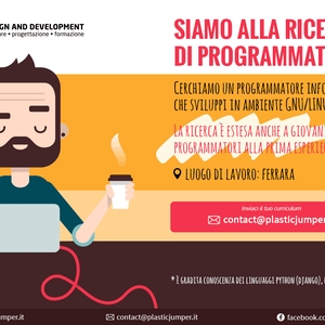 Cerchiamo programmatore scopo assunzione