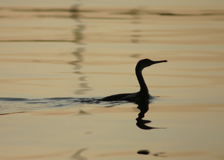 chiusura ufficio ferragosto chiusura ufficio ferragosto